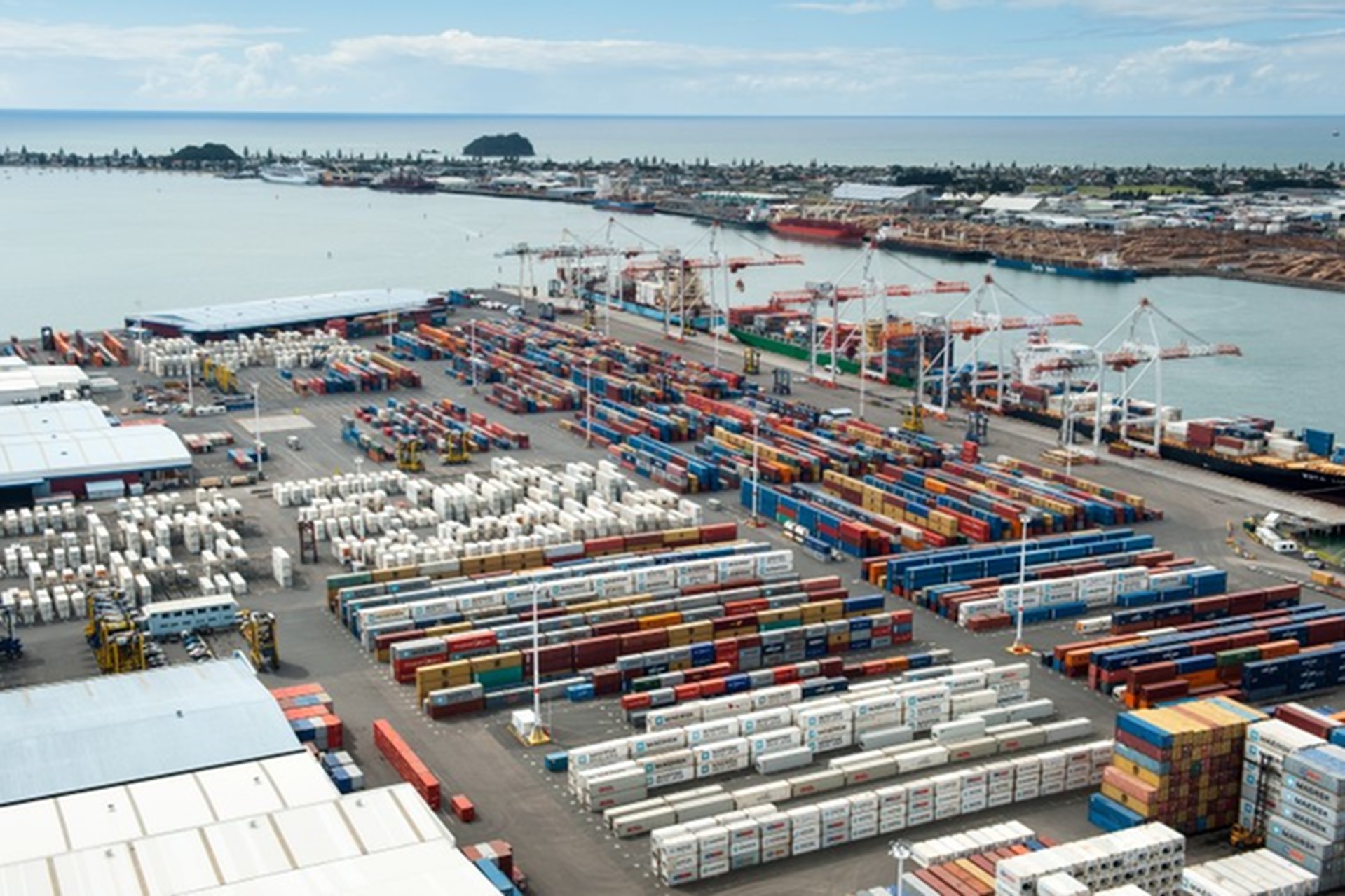 Autofile News / Port of Tauranga announce record earnings
