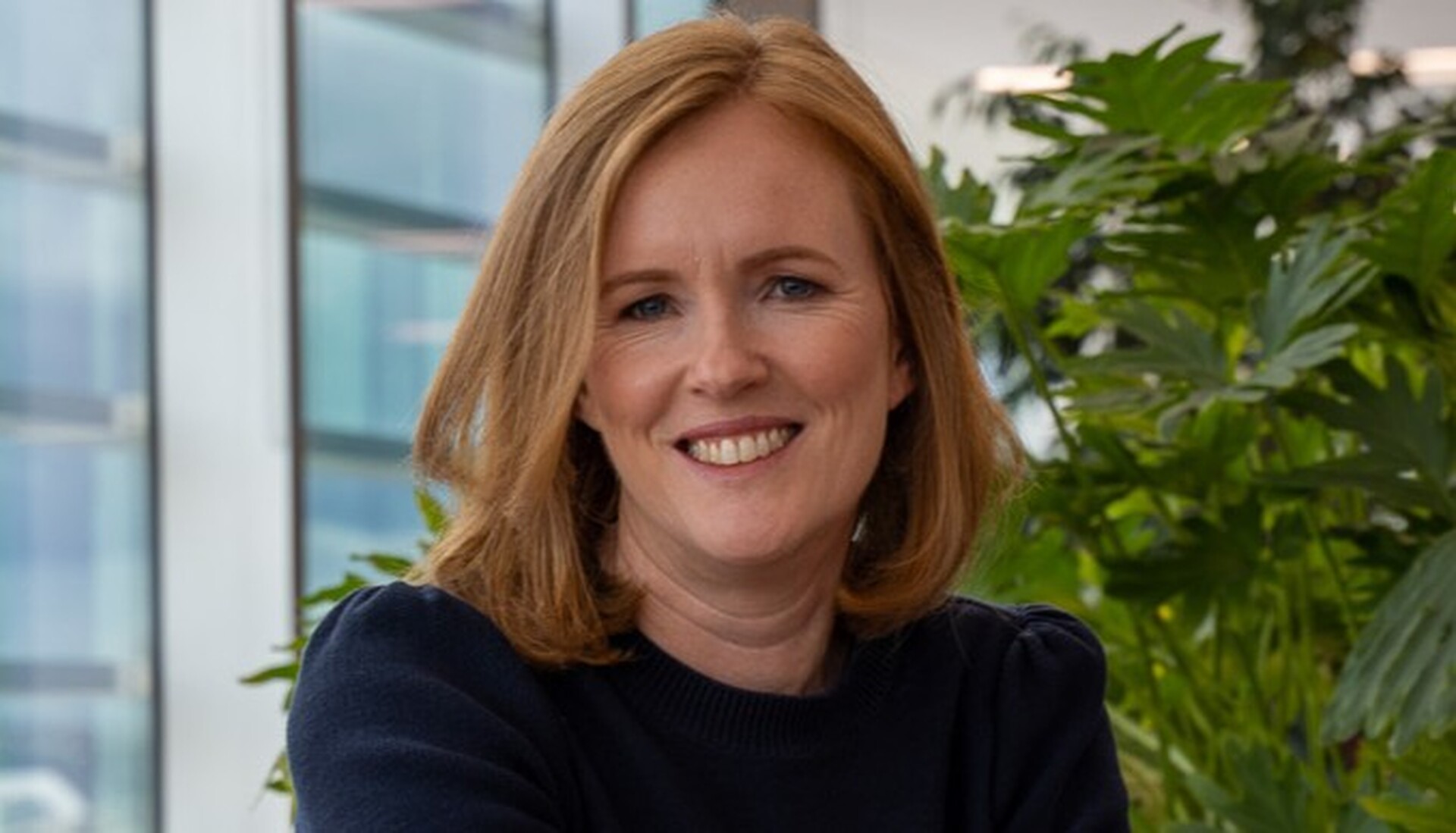 News / New head of motors at Trade Me