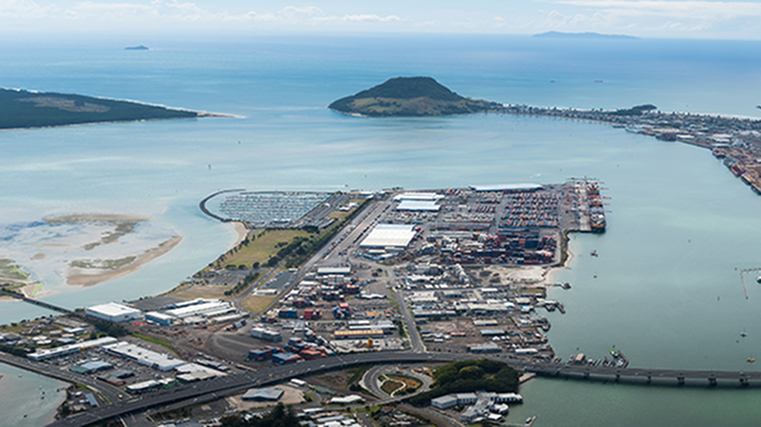 Port of Tauranga continues to grow