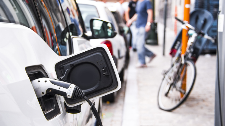 Dunedin's top of the EV charts