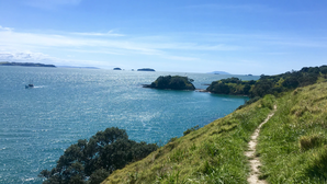 Waiheke Island to be electrified
