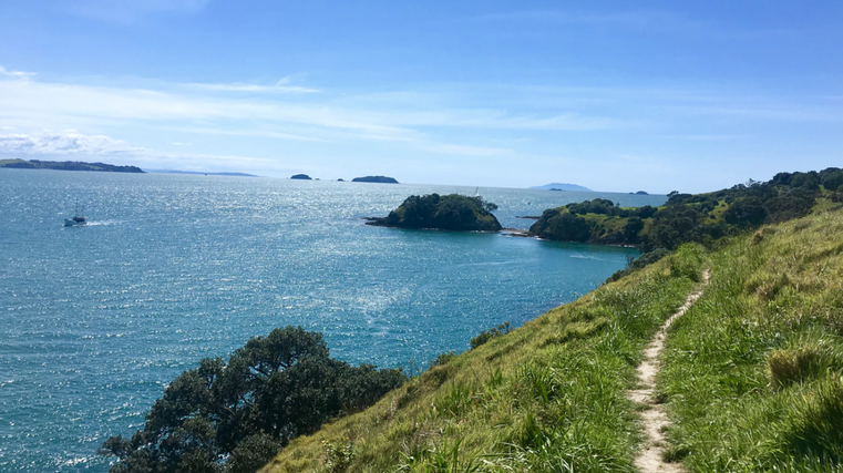 Waiheke Island to be electrified