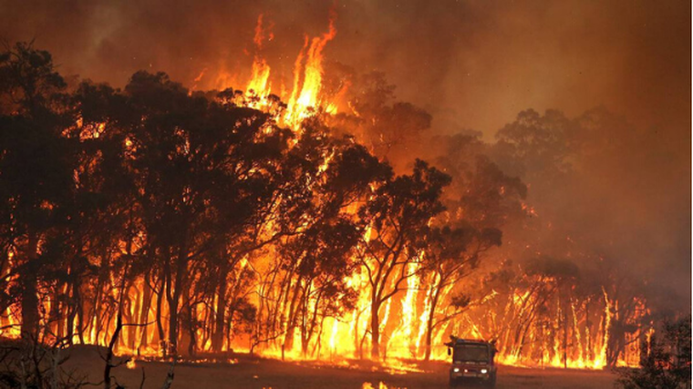 Brands rally to help bushfire victims