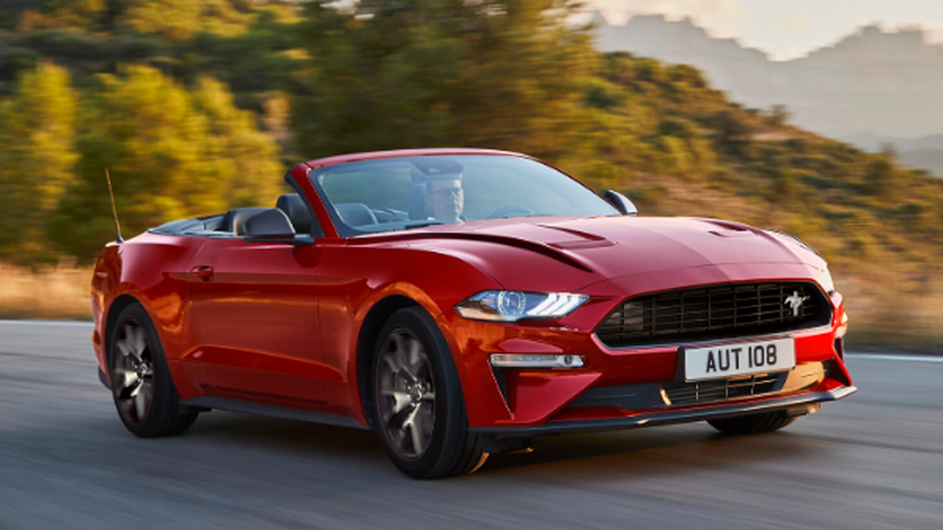 Mustang on top of world