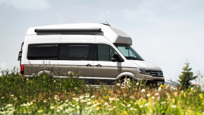 Kombi’s big brother eyes spring arrival