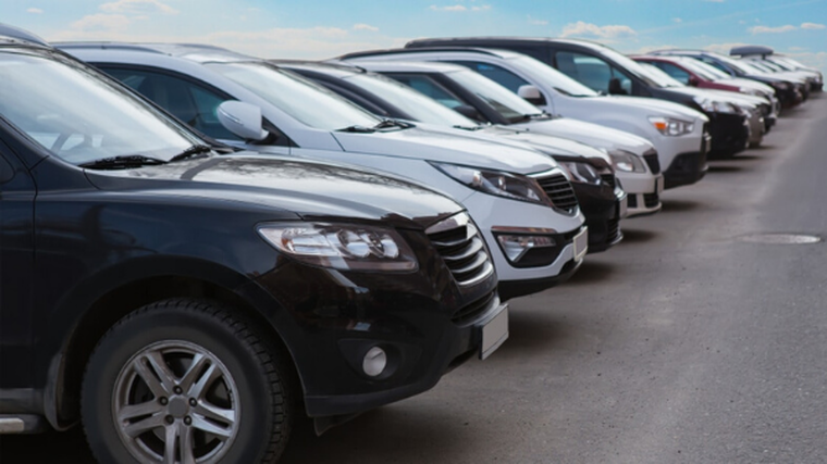 Dealer numbers edging down
