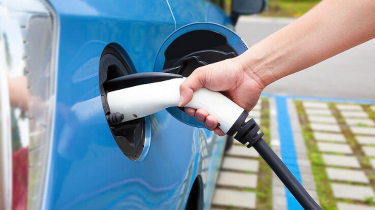 Economists slam push for EVs