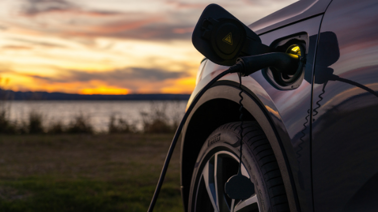 EV imports hit record $53m