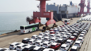 Vehicle imports make big gains