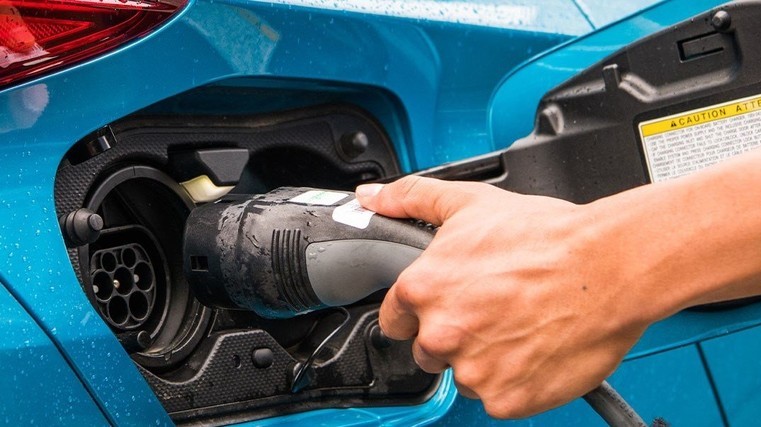 EV registrations bounce back