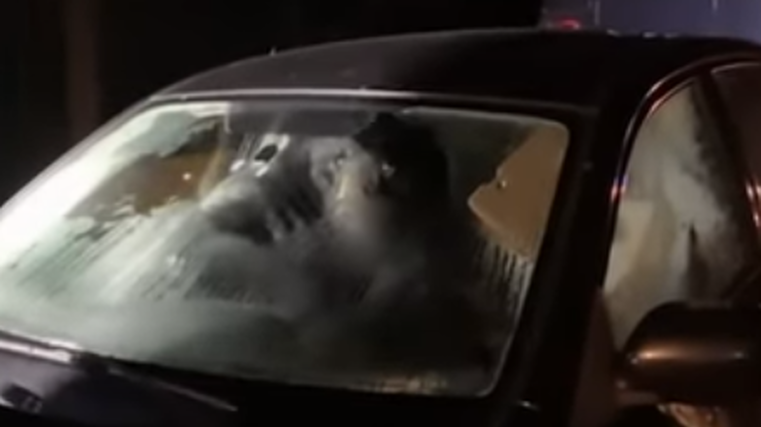 Hungry bear gets trapped in car