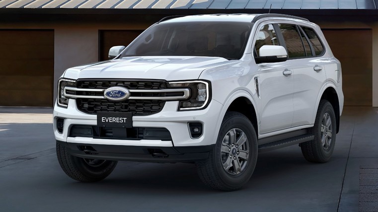 Ford siblings top for safety