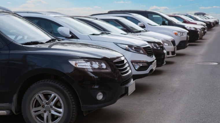 Dealer numbers dwindling