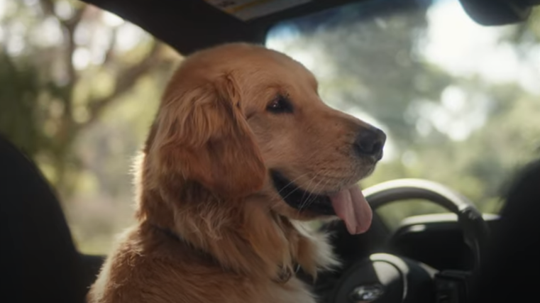 Subaru’s pawsome effort