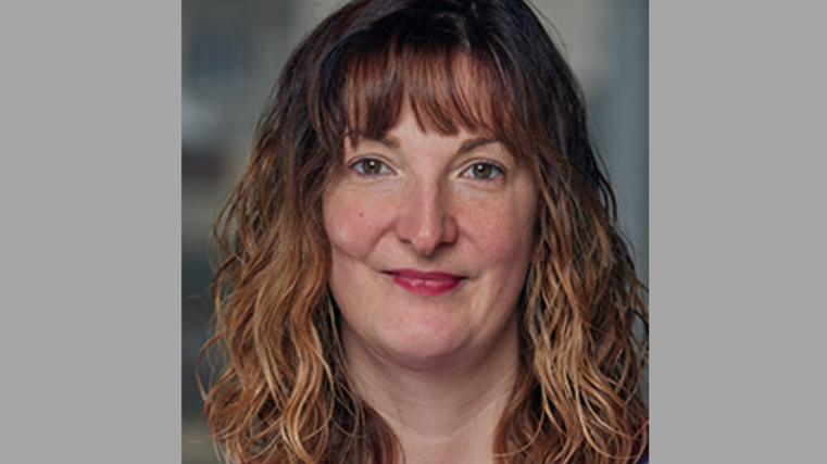 Watchdog weighs into car row