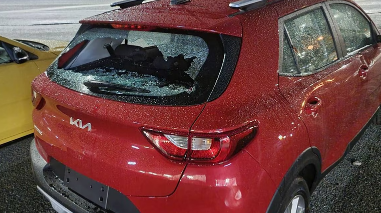 Vandals trash showroom