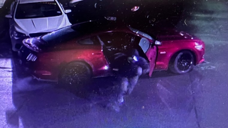 Autofile News / Mustangs stolen from dealership