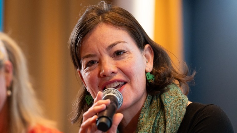 Greens lament feebates plan