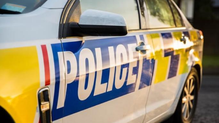 Salesman victim of carjacking