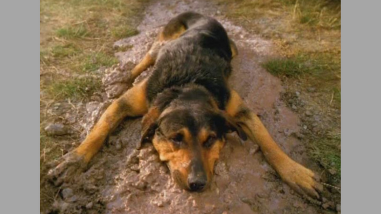‘Bugger’ ad in top five for complaints
