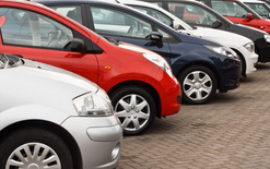 Dealer numbers continue rise