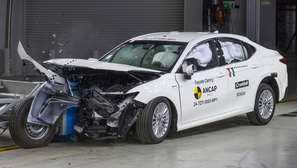 Camry tops safety ladder