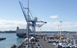 Former port boss to pay $190k