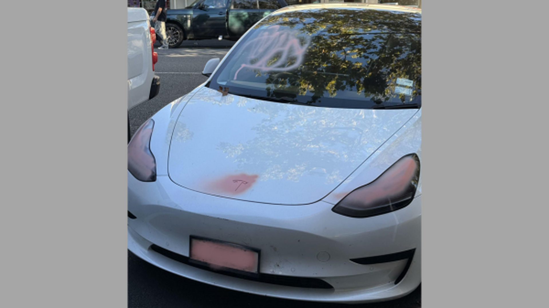 Autofile - News / Vandals target electric cars