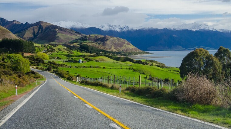 Kiwi drivers praised as polite