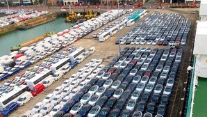 BEV imports tumble