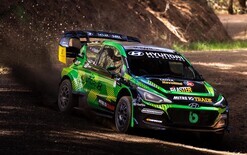 Paddon flourishes in forest
