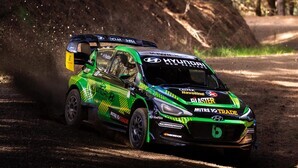 Paddon flourishes in forest