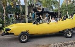Public go bananas for wacky car