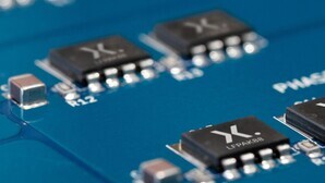 Chips crisis mushrooms