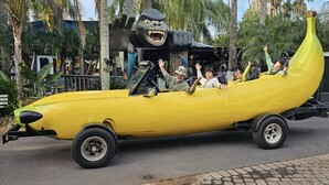 Public go bananas for wacky car