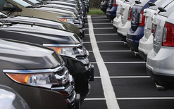 Dealer numbers snap bleak run