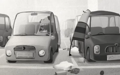 Shopper’s car park calamity