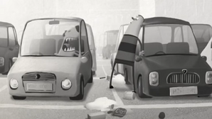 Shopper’s car park calamity