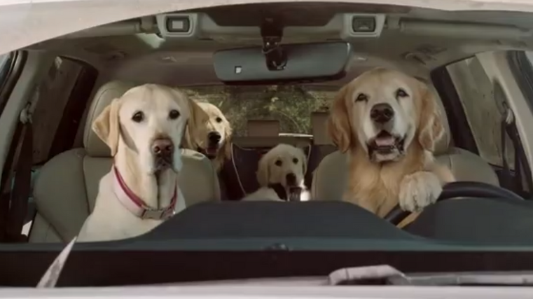 Ruff side of marketing