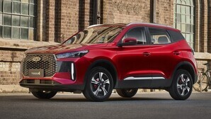 Petrol car sales drop