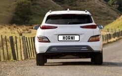 Agency pooh-poohs plate ideas