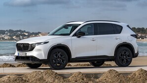 Model enters third generation