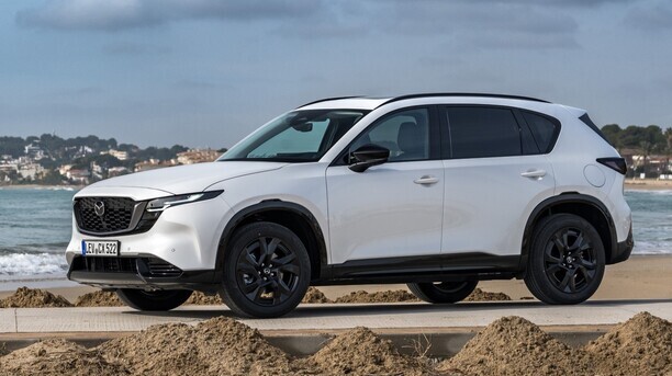 Model enters third generation