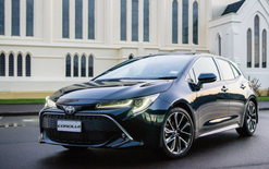 Corolla top for budget buyers