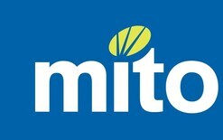MITO celebrates success