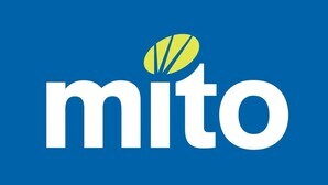 MITO celebrates success