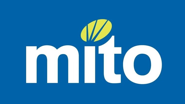 MITO celebrates success