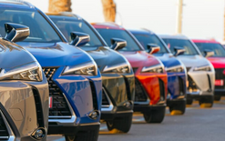 Back-to-back rises in dealer numbers