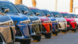 Back-to-back rises in dealer numbers